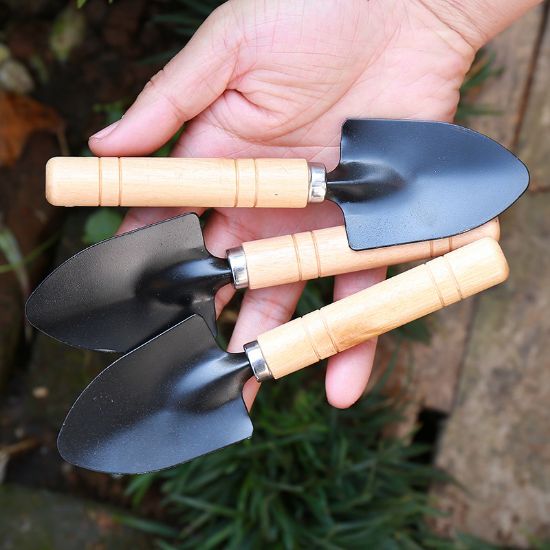 图片 铁质铲子