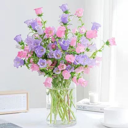 图片 鲜切花